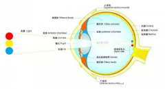 青少年健康作为一个关系国家和民族未来的大问题