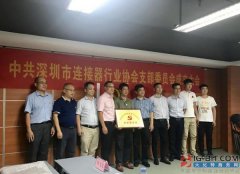 深圳市社会组织总会联合党委副书记兼纪委书记张武波同志出席会议;非党人士